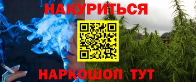 сатива Бузулук