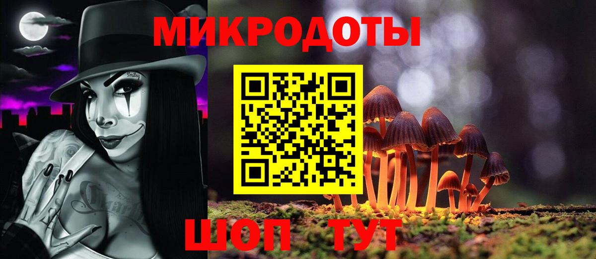 Галлюциногенные грибы Psilocybine cubensis Коркино